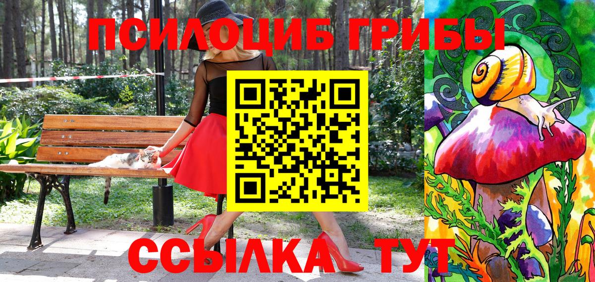 Галлюциногенные грибы Magic Shrooms  Вход с VPN  Галлюциногенные грибы мухоморы  Новороссийск 