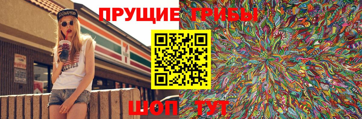 Псилоцибиновые грибы мухоморы Новороссийск